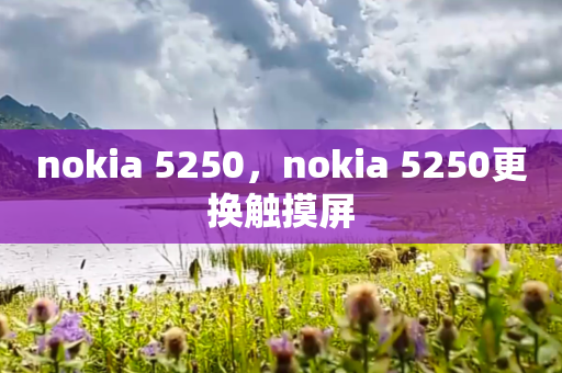 nokia 5250，nokia 5250更换触摸屏