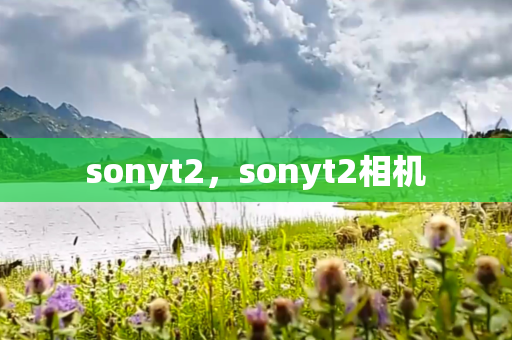 sonyt2，sonyt2相机