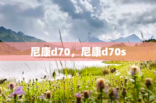 尼康d70，尼康d70s
