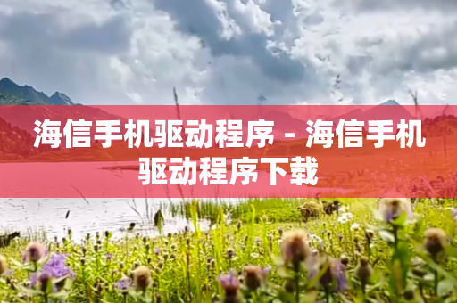 海信手机驱动程序 - 海信手机驱动程序下载
