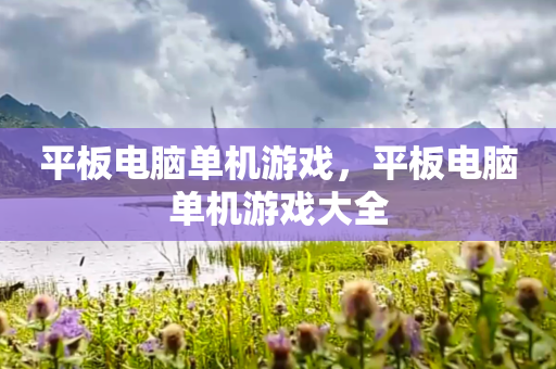 平板电脑单机游戏，平板电脑单机游戏大全