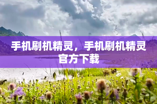 手机刷机精灵，手机刷机精灵官方下载
