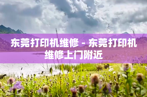 东莞打印机维修 - 东莞打印机维修上门附近