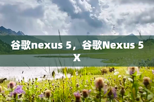 谷歌nexus 5，谷歌Nexus 5X