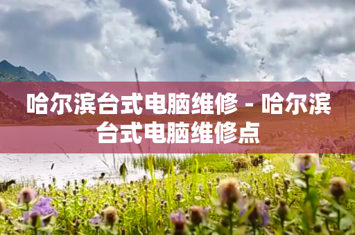 哈尔滨台式电脑维修 - 哈尔滨台式电脑维修点