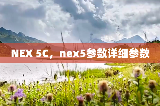 NEX 5C，nex5参数详细参数