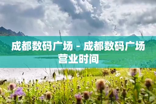 成都数码广场 - 成都数码广场营业时间