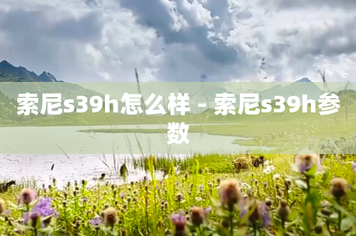 索尼s39h怎么样 - 索尼s39h参数