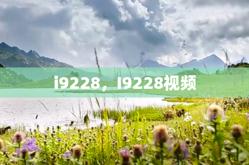 i9228，I9228视频