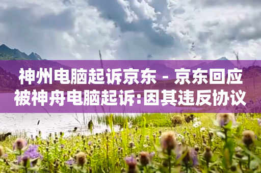 神州电脑起诉京东 - 京东回应被神舟电脑起诉:因其违反协议条款致货款暂缓