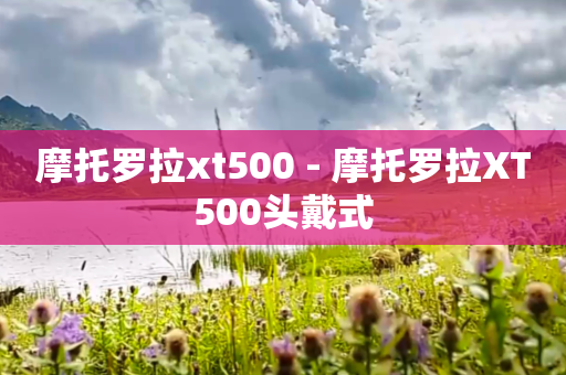 摩托罗拉xt500 - 摩托罗拉XT500头戴式