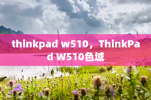 thinkpad w510，ThinkPad W510色域
