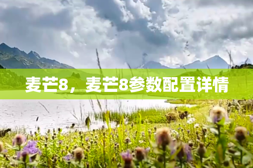 麦芒8，麦芒8参数配置详情