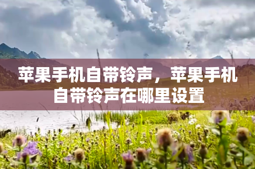 苹果手机自带铃声，苹果手机自带铃声在哪里设置