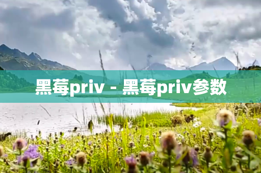 黑莓priv - 黑莓priv参数