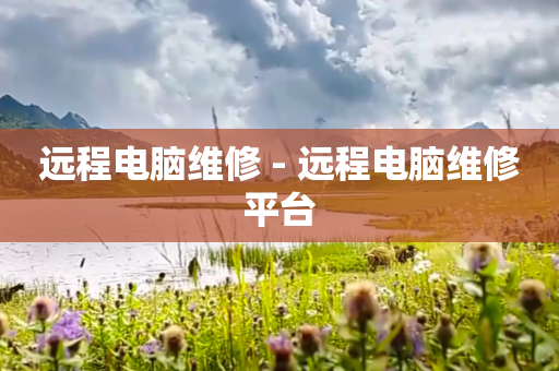 远程电脑维修 - 远程电脑维修平台
