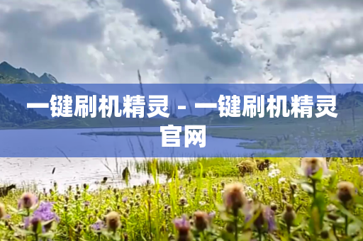 一键刷机精灵 - 一键刷机精灵官网