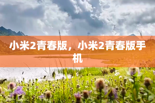 小米2青春版，小米2青春版手机