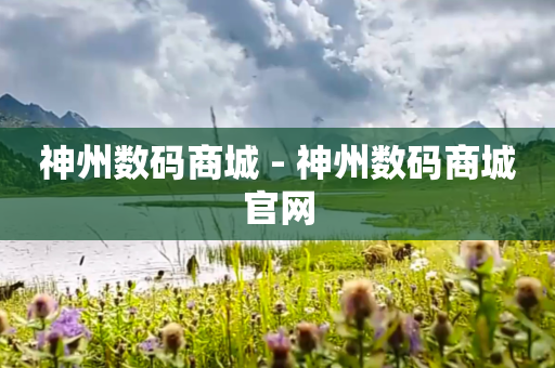 神州数码商城 - 神州数码商城官网