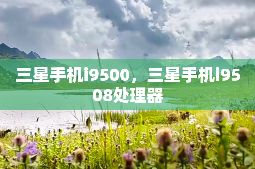 三星手机i9500，三星手机i9508处理器