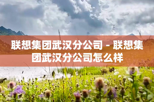 联想集团武汉分公司 - 联想集团武汉分公司怎么样