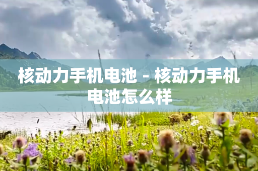 核动力手机电池 - 核动力手机电池怎么样