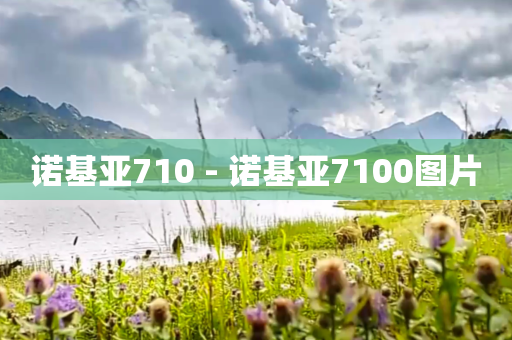 诺基亚710 - 诺基亚7100图片