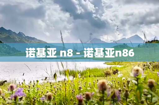 诺基亚 n8 - 诺基亚n86