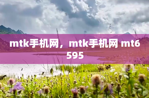 mtk手机网，mtk手机网 mt6595
