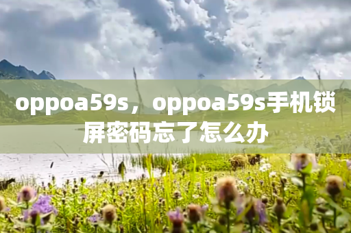 oppoa59s，oppoa59s手机锁屏密码忘了怎么办