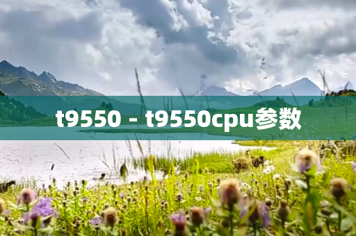 t9550 - t9550cpu参数