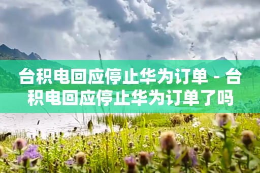 台积电回应停止华为订单 - 台积电回应停止华为订单了吗