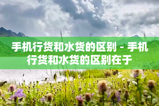 手机行货和水货的区别 - 手机行货和水货的区别在于