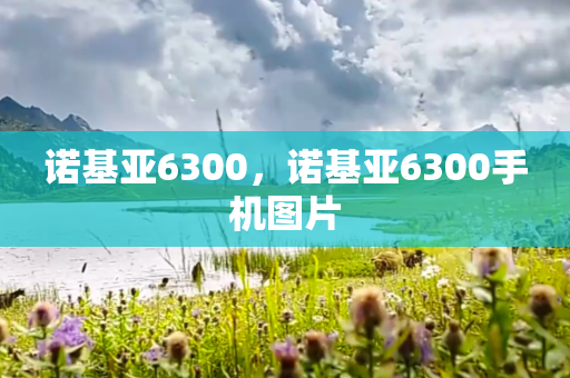 诺基亚6300，诺基亚6300手机图片