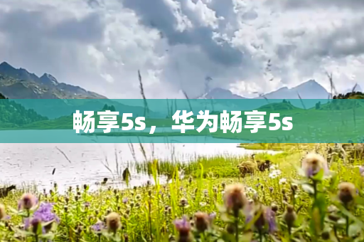 畅享5s，华为畅享5s