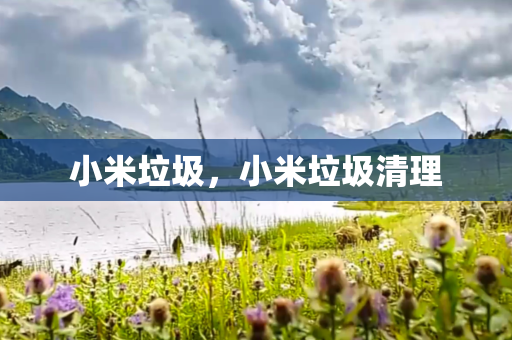小米垃圾，小米垃圾清理