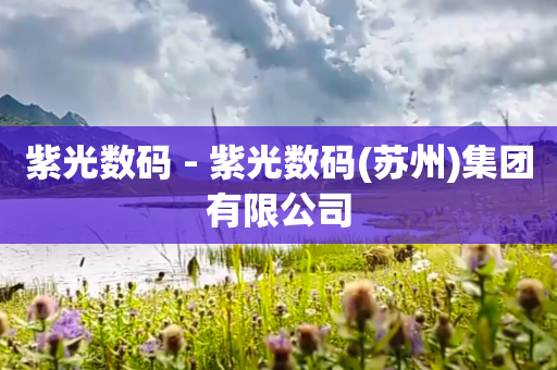 紫光数码 - 紫光数码(苏州)集团有限公司