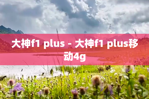 大神f1 plus - 大神f1 plus移动4g