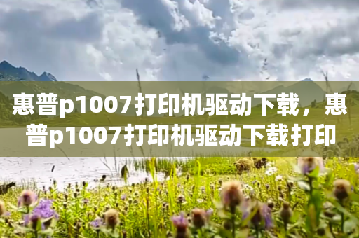 惠普p1007打印机驱动下载，惠普p1007打印机驱动下载打印机驱动网