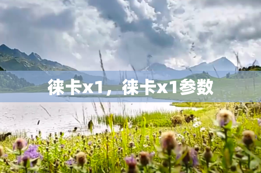 徕卡x1，徕卡x1参数