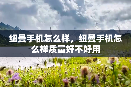 纽曼手机怎么样，纽曼手机怎么样质量好不好用