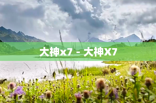 大神x7 - 大神X7