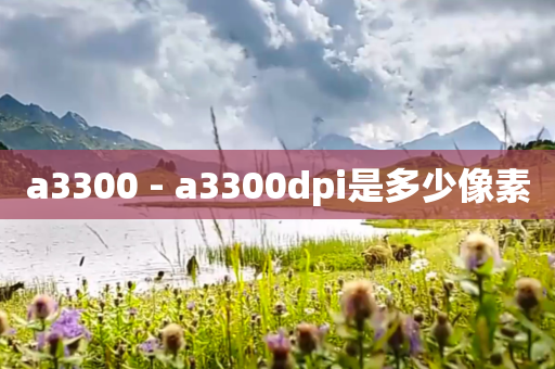 a3300 - a3300dpi是多少像素
