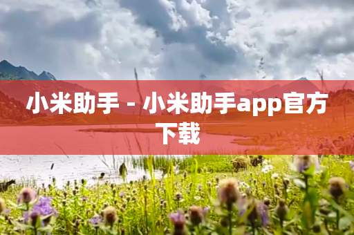 小米助手 - 小米助手app官方下载