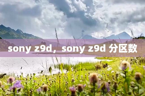 sony z9d，sony z9d 分区数