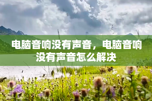 电脑音响没有声音，电脑音响没有声音怎么解决