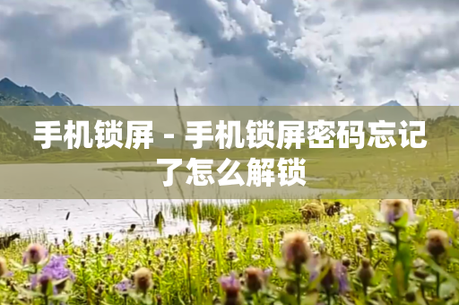 手机锁屏 - 手机锁屏密码忘记了怎么解锁