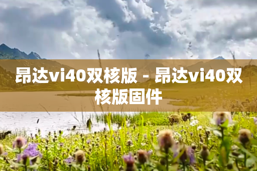 昂达vi40双核版 - 昂达vi40双核版固件