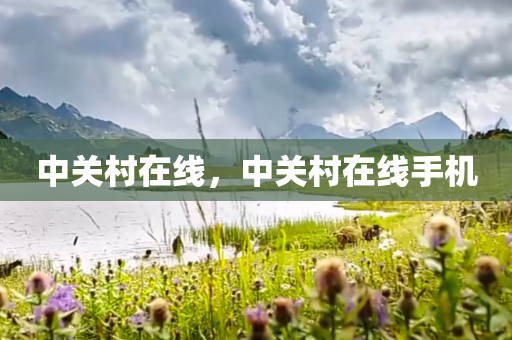 中关村在线，中关村在线手机