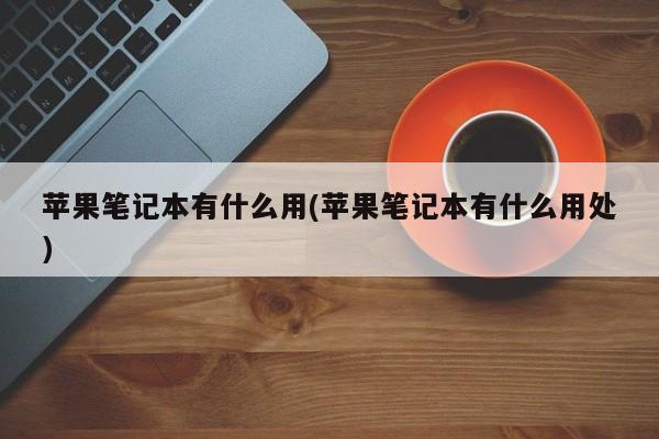 苹果笔记本有什么用(苹果笔记本有什么用处)